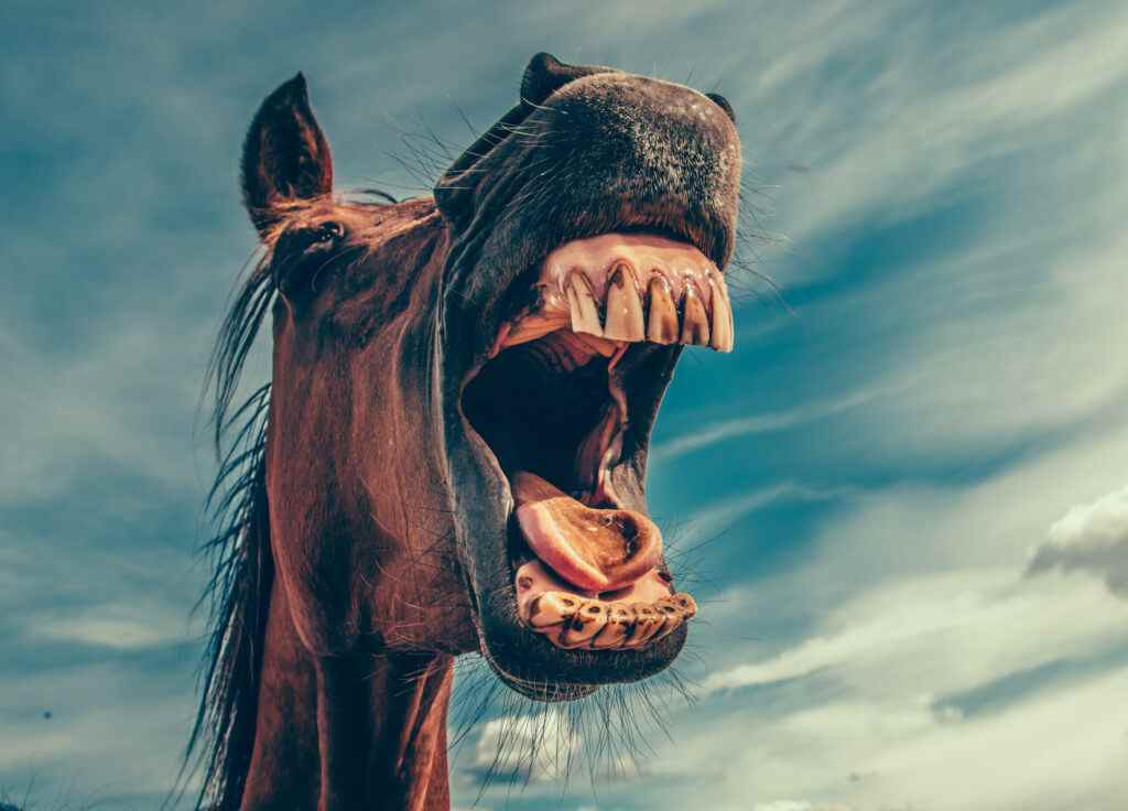 10 besten Whatsapp Status Sprüche