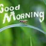 Whatsapp Guten Morgen