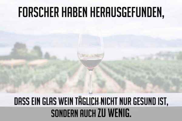Whatsapp Status Sprüche Leben Wein Trinken WEisheiten