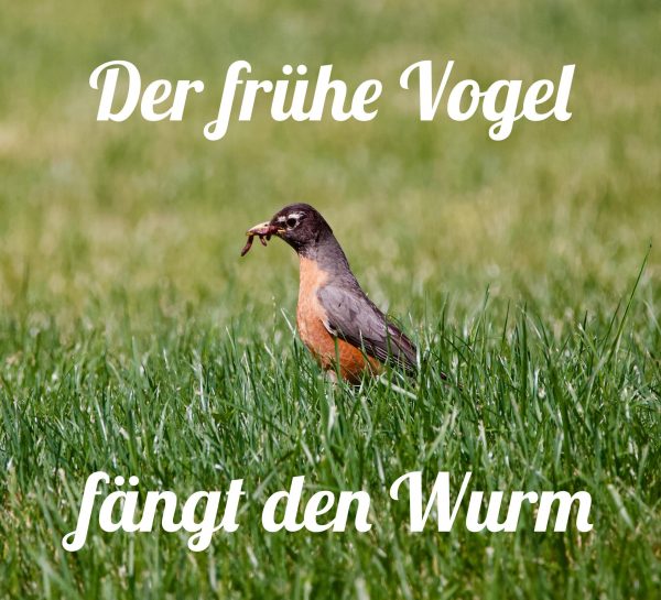 Lustig sprüche guten morgen 144 Guten